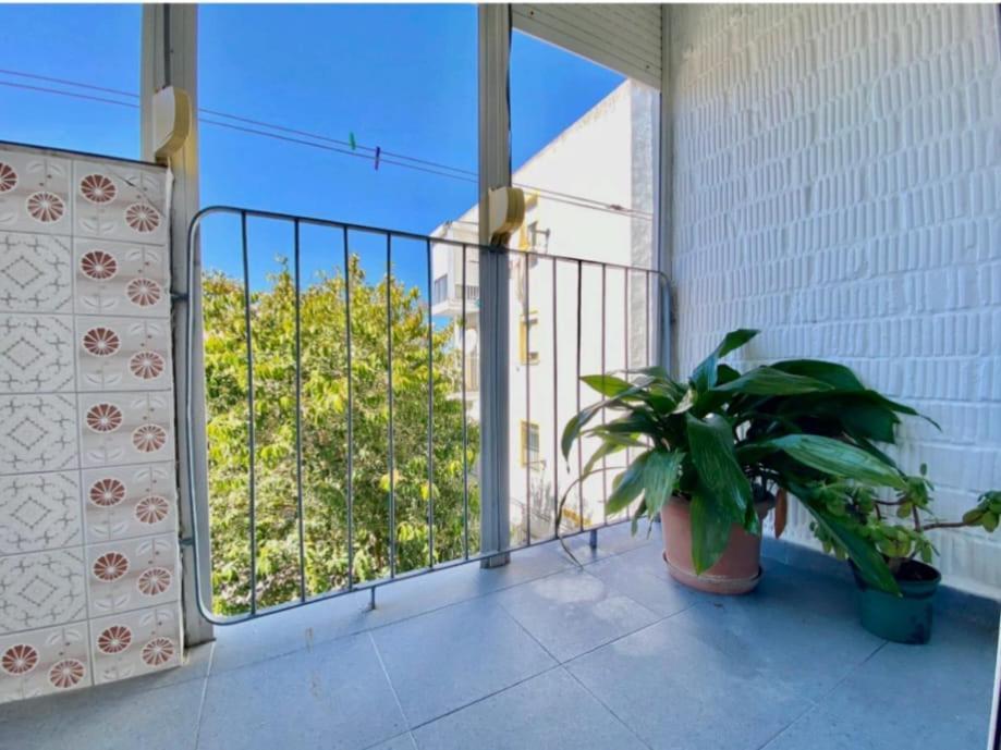 Apartament Solea Jerez de la Frontera Zewnętrze zdjęcie